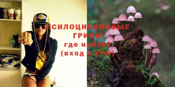 молекула духа Балахна