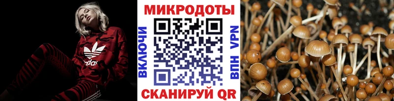 где продают   Знаменск  гидра сайт  Псилоцибиновые грибы Psilocybe 