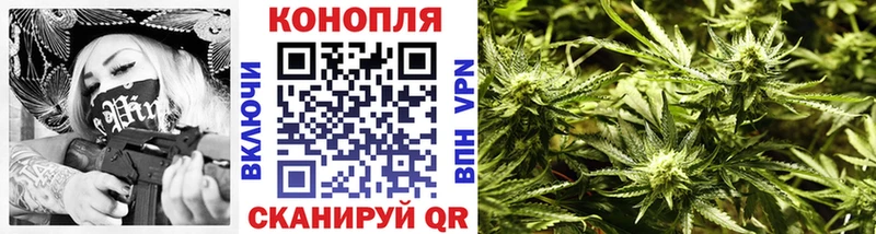 Каннабис OG Kush  Знаменск 